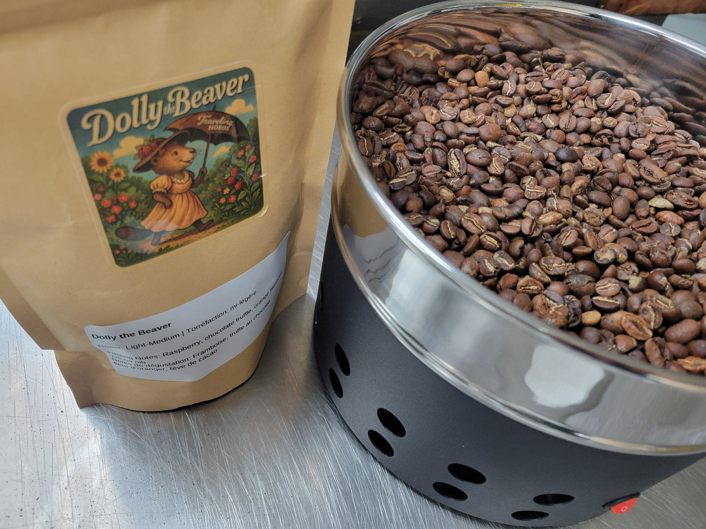 Dolly the Beaver Light Medium Roast