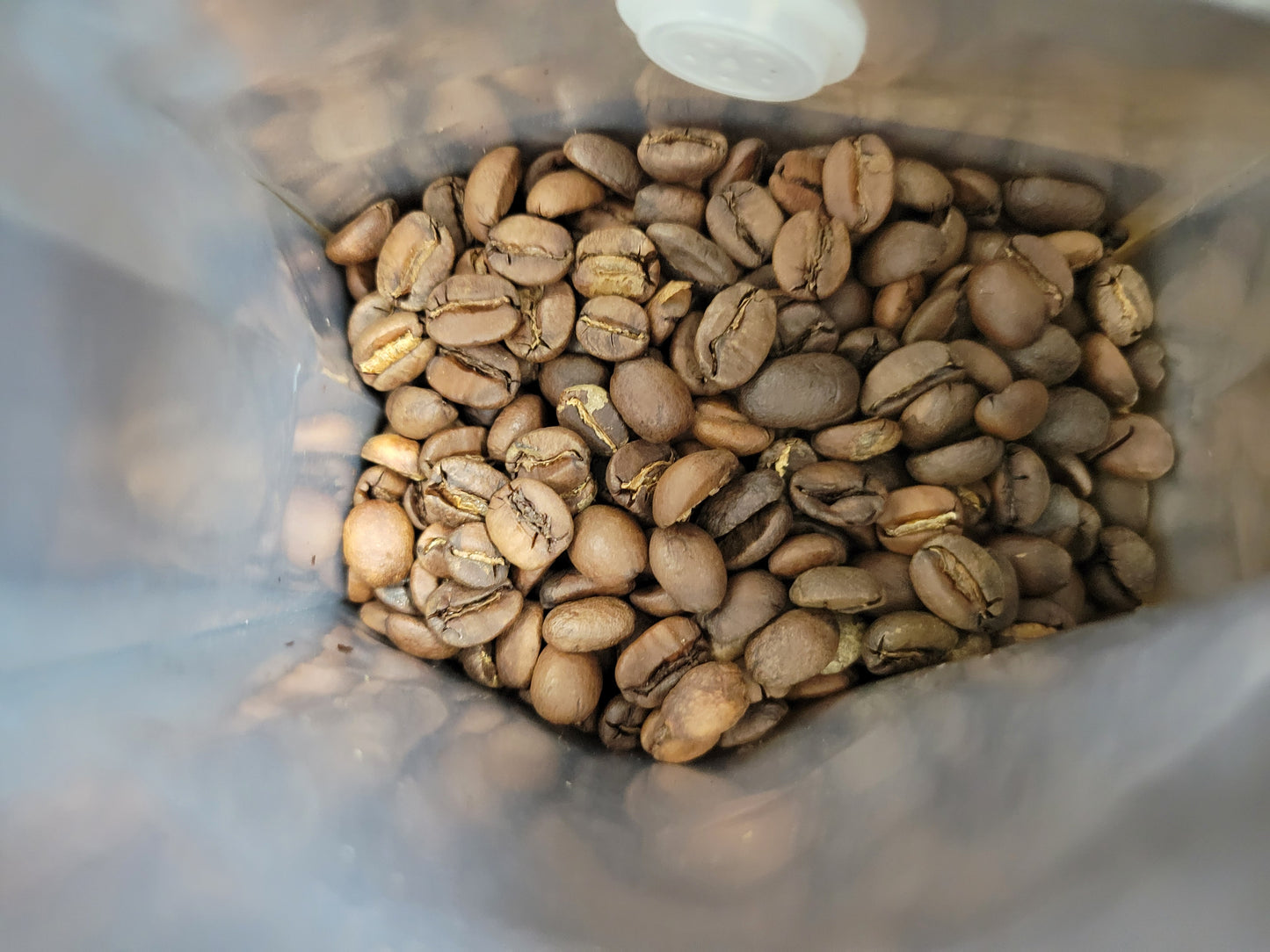 Maple Creamy House Blend