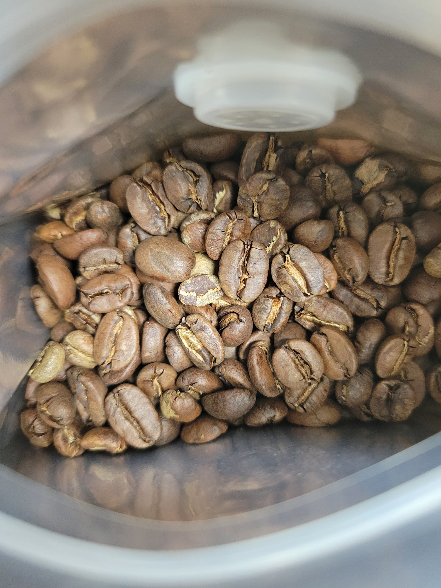 Maple Creamy House Blend