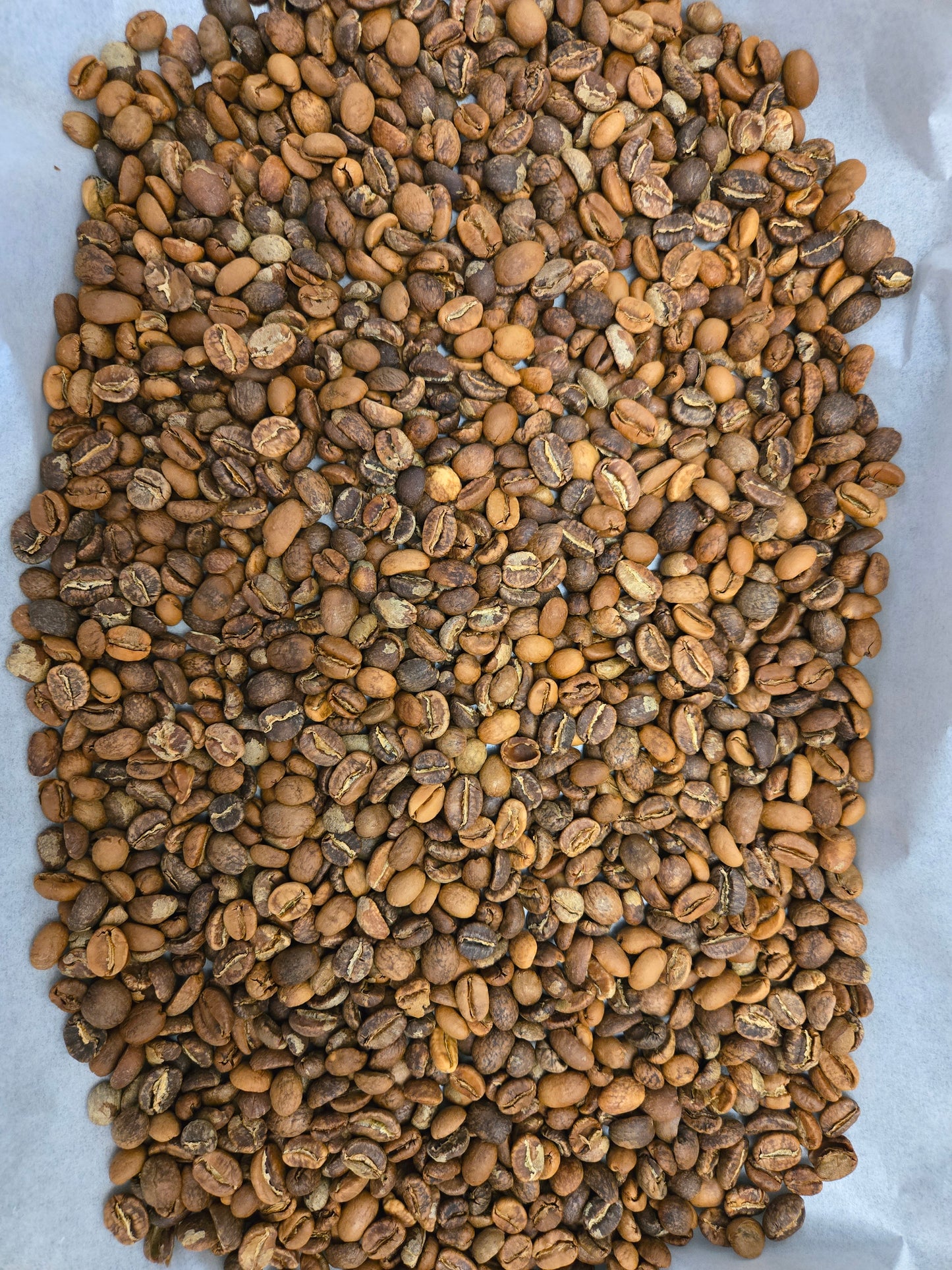 Canadskie Banana - House Blend