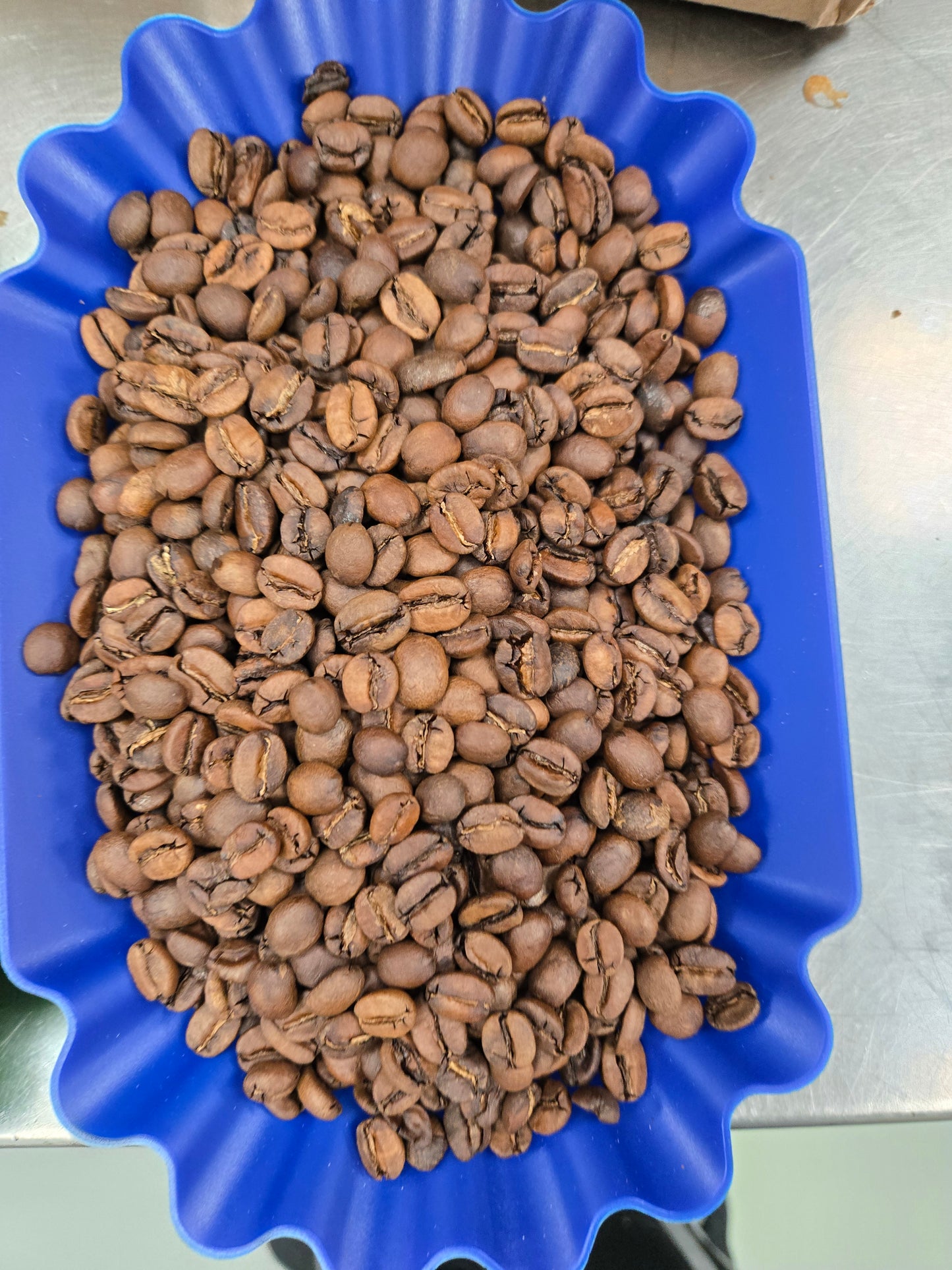 Brazil Bela Vista Anaerobic - Light-Medium Roast