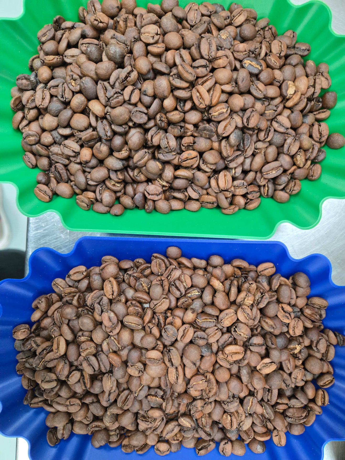 Brazil Bela Vista Anaerobic - Light-Medium Roast